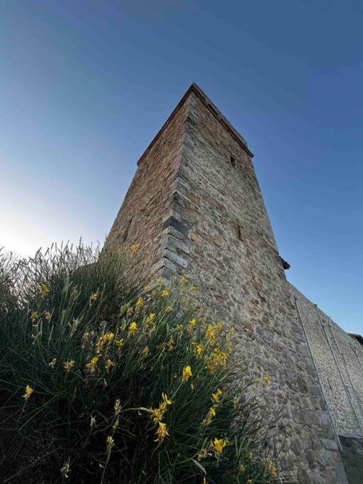 Medieval Tower In Umbria With Swimming Pool Montelagello المظهر الخارجي الصورة